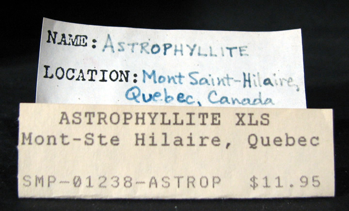 Astrophyllite, Mont Saint-Hilaire, Québec, Canada