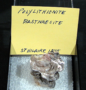 Bastnaesite on Polylithionite, Mont Saint-Hilaire, Québec, Canada ex Ron Waddell