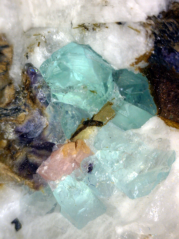 Fluorite and Rhodochrosite, Mont Saint-Hilaire, Québec, Canada ex Ron Waddell