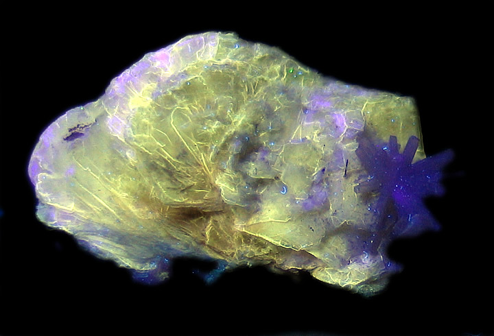 Polylithionite, Natrolite and Aegerine, Mont Saint-Hilaire, Rouville Co., Québec, Canada in SWUV