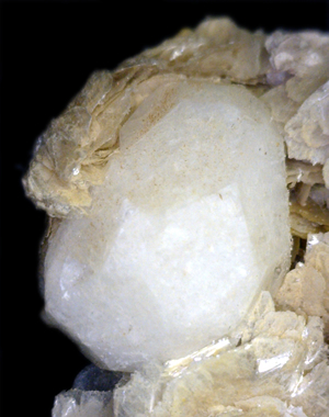 Analcime on Polylithionite, Mont Saint-Hilaire, Québec, Canada ex Ron Waddell