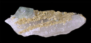 Fluorapatite and Muscovite on Quartz, Panasqueira, Covilhã, Castelo Branco District, Portugal
