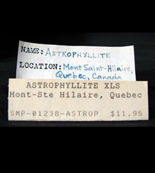 Astrophyllite, Mont Saint-Hilaire, Québec, Canada