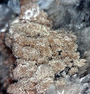 Bastnaesite on Polylithionite, Mont Saint-Hilaire, Québec, Canada ex Ron Waddell