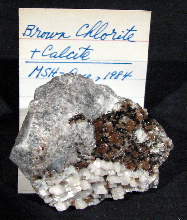 Chlorite, Mont Saint-Hilaire, Québec, Canada ex Ron Waddell