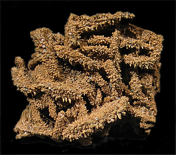 Endlichite ps Wulfenite, Ahumada Mine, Los Lamentos, Chihuahua, Mexico