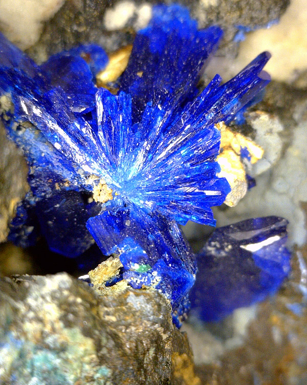 Linarite, Beaver Claim, Kaslo, Central Kootenay Regional District, Kootenays, British Columbia, Canada