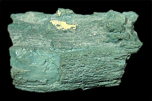 Vanadium Petrified Wood, Holbrook, Navajo Co., Arizona, USA