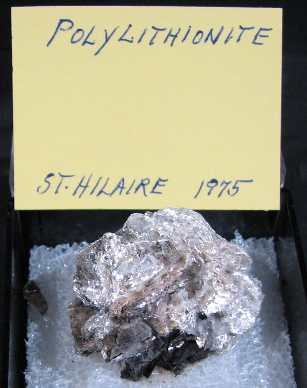 Polylithionite, Mont Saint-Hilaire, Québec, Canada ex Ron Waddell