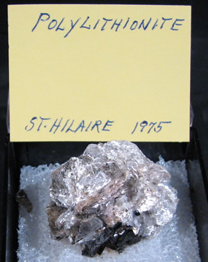 Polylithionite, Mont Saint-Hilaire, QuÃ©bec, Canada ex Ron Waddell