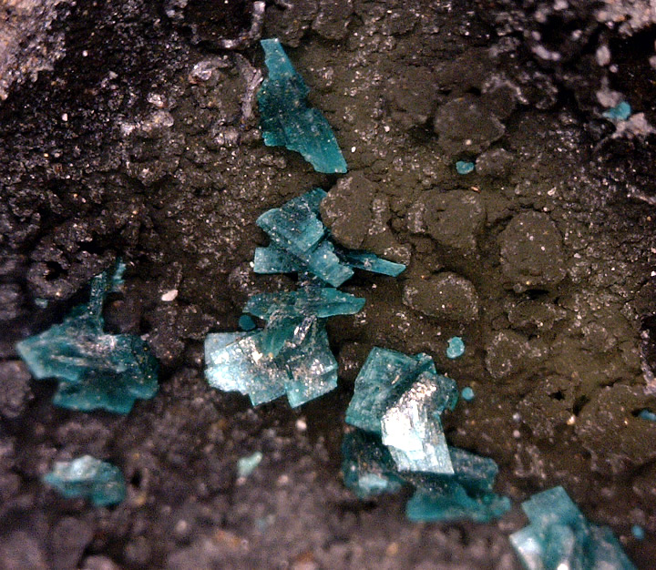 Pseudomalachite, Manto Cuba Mine, San Pedro de Cachiyuyo District, Inca de Oro, Chañaral Province, Atacama Region, Chile