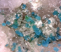 Turquoise Crystals, Vielsalm, Stavelot Massif, Luxembourg Province, Belgium