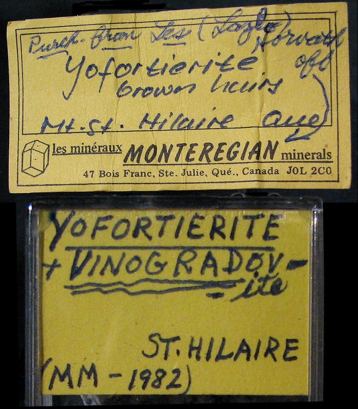 Yofortierite (TL) and Vinogradovite, Mont Saint-Hilaire, Québec, Canada ex Ron Waddell